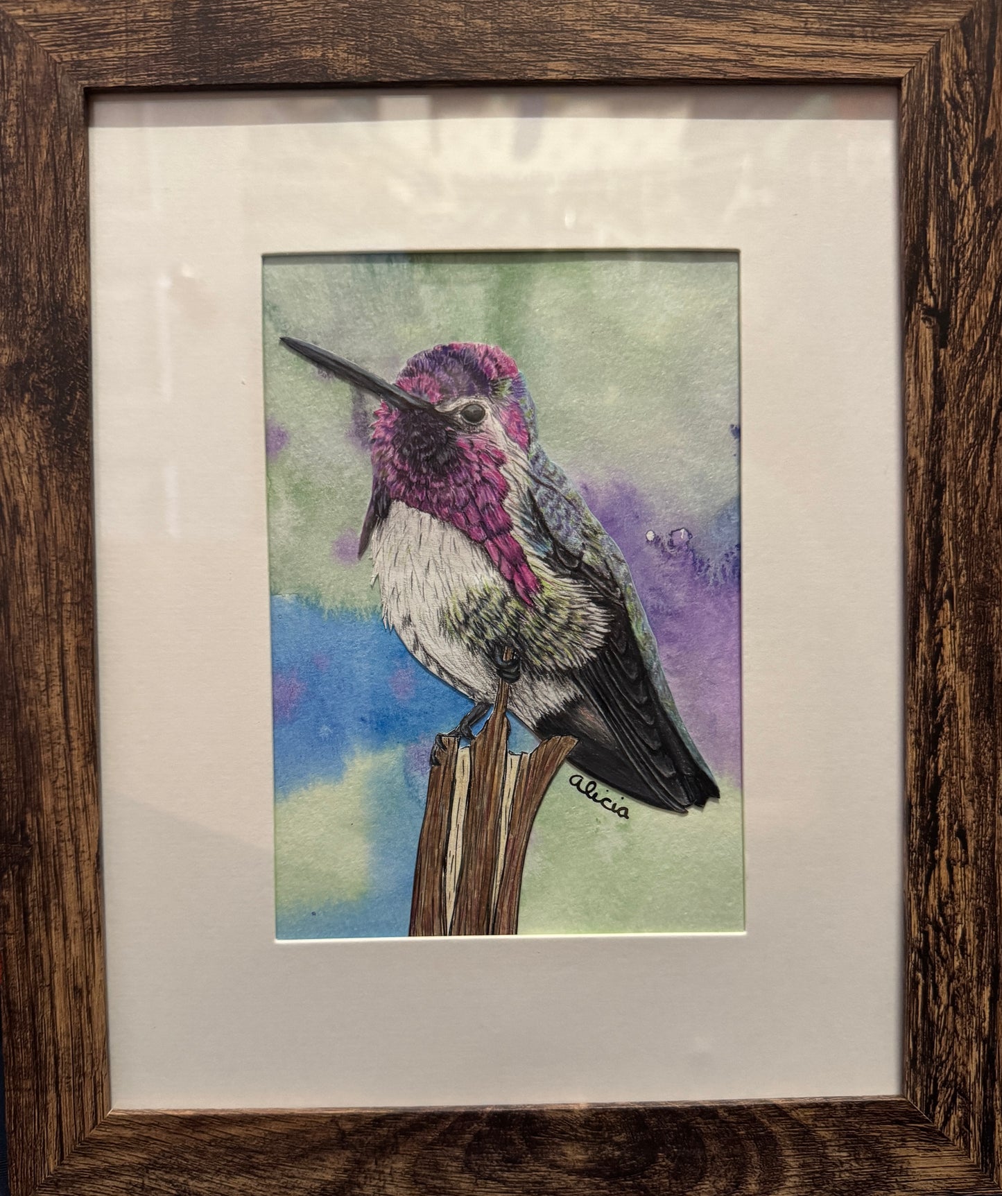 Anna's Hummingbird Original Artwork