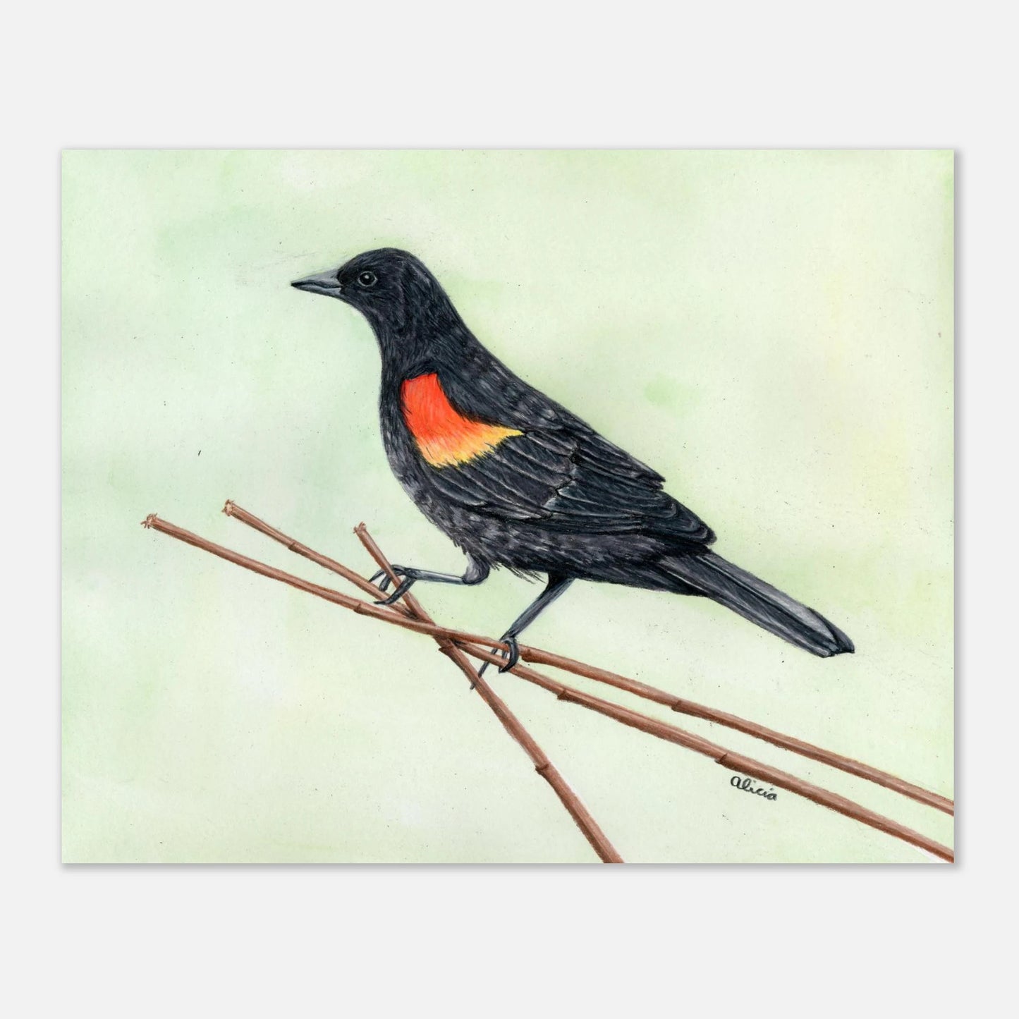 2a9d2317-78a7-4b16-8a5b-db6a2fd82a25