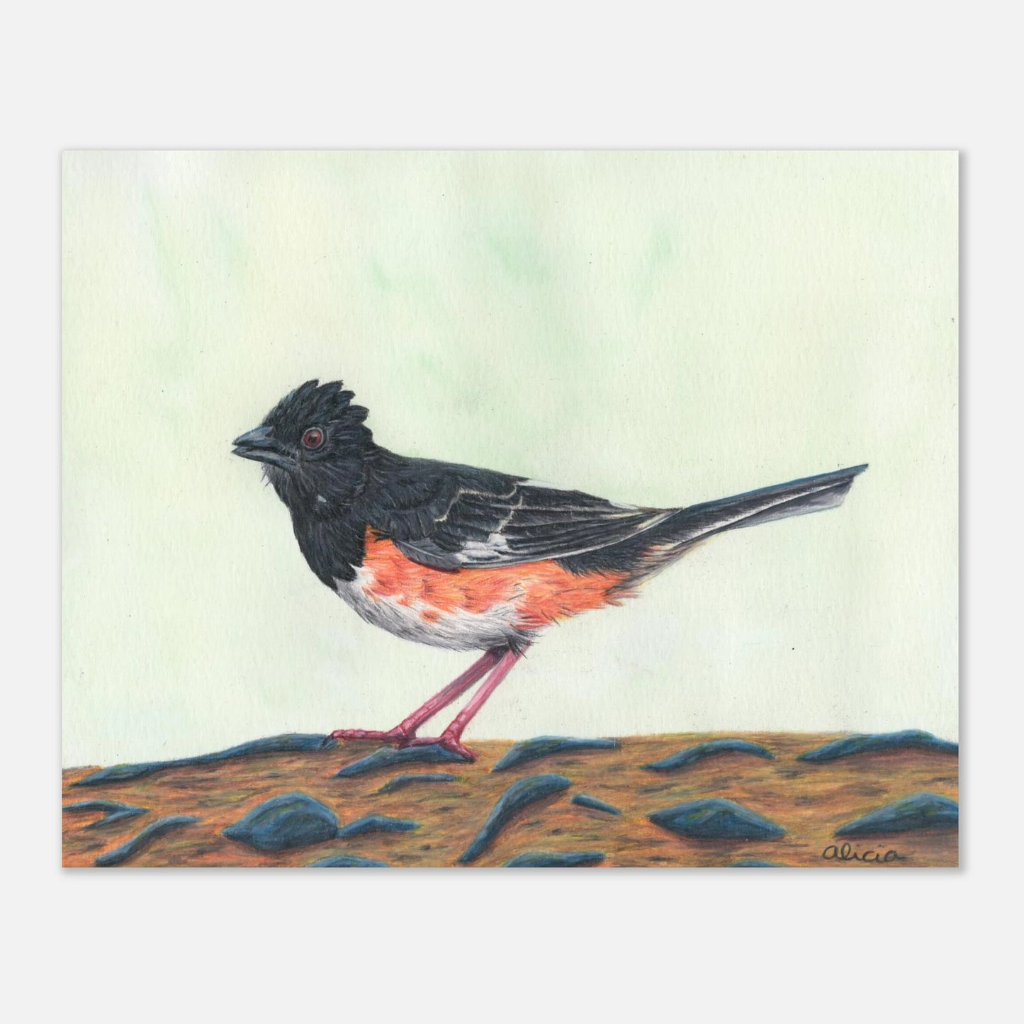 473a4efd-d977-48a1-bbfa-42d53c9a857c