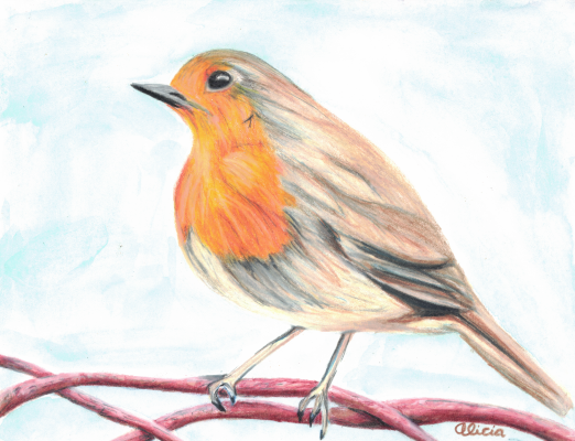 Song Bird Commission