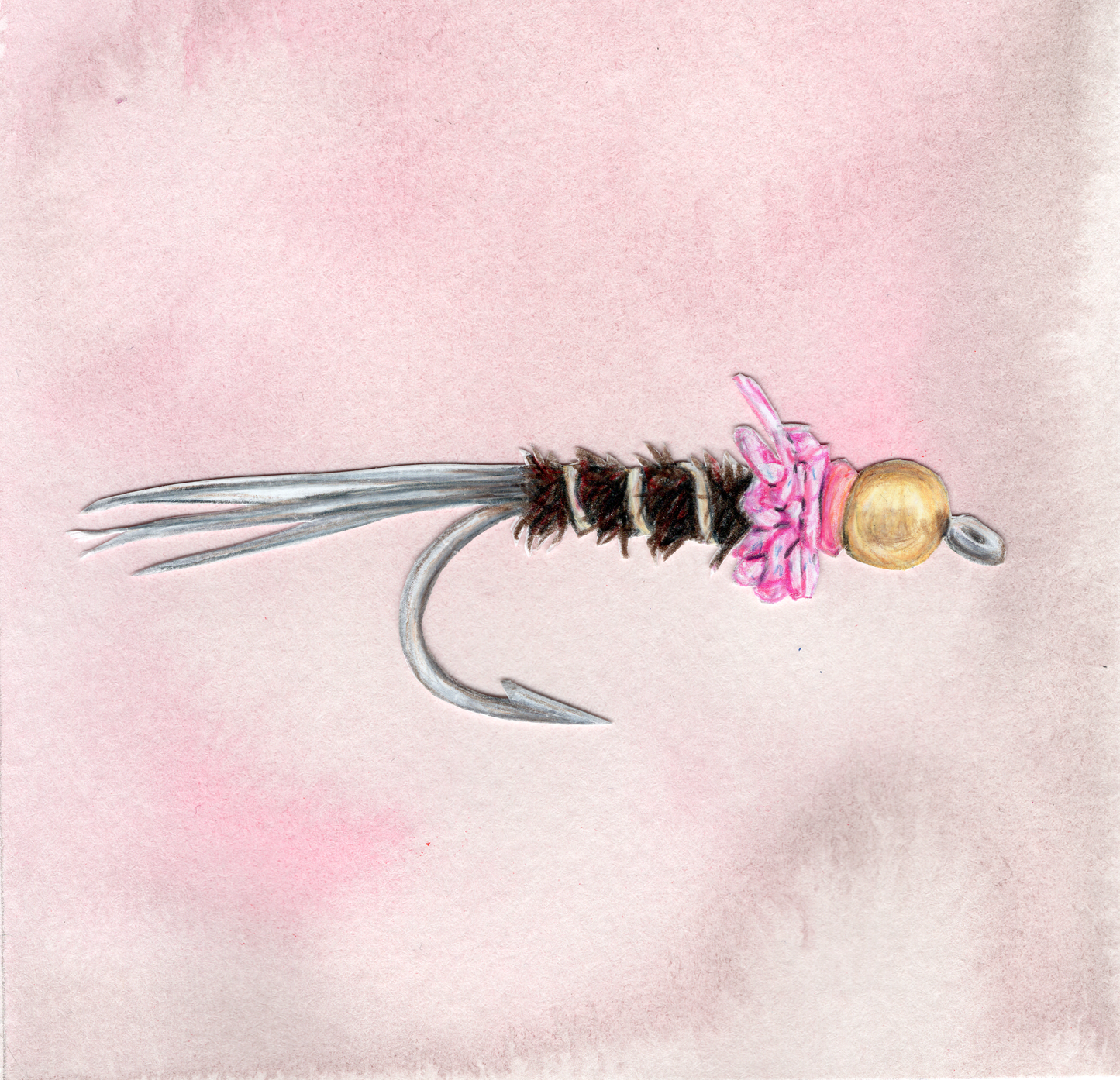 Frenchie Nymph Fly Print With Color Background