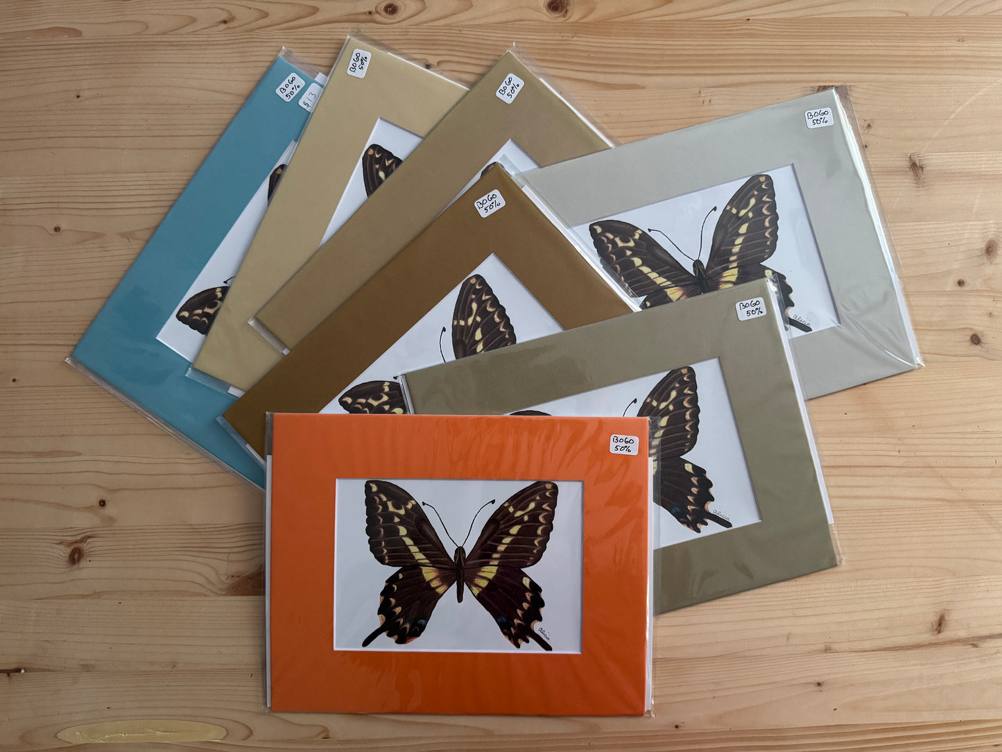 $5 Matted Green and Orange Butterfly Print