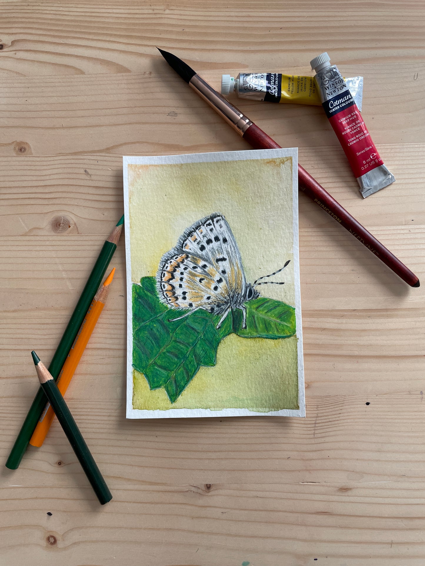 Delicate Butterfly Mini Artwork Original