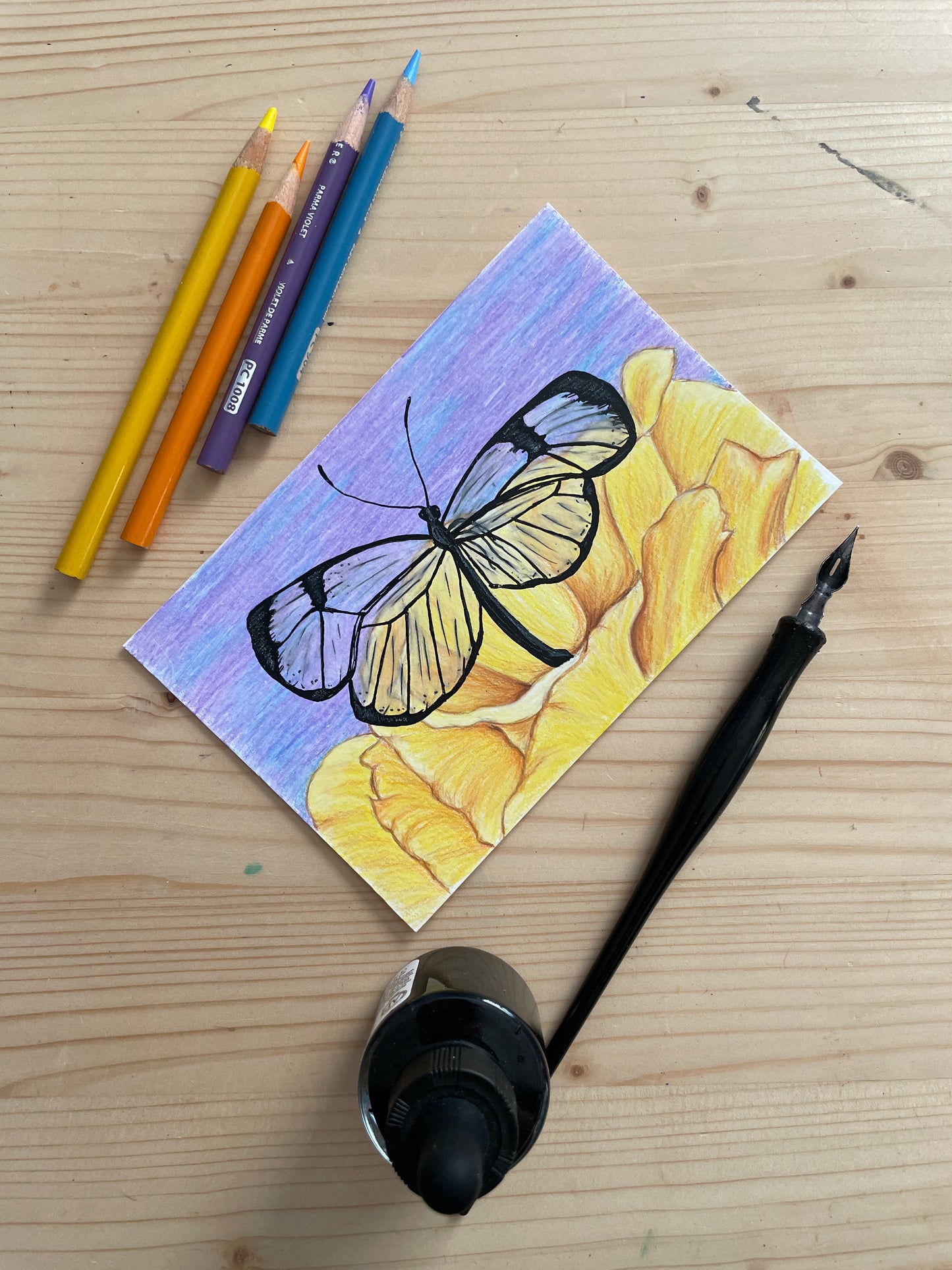 Glass Wing Butterfly on Yellow