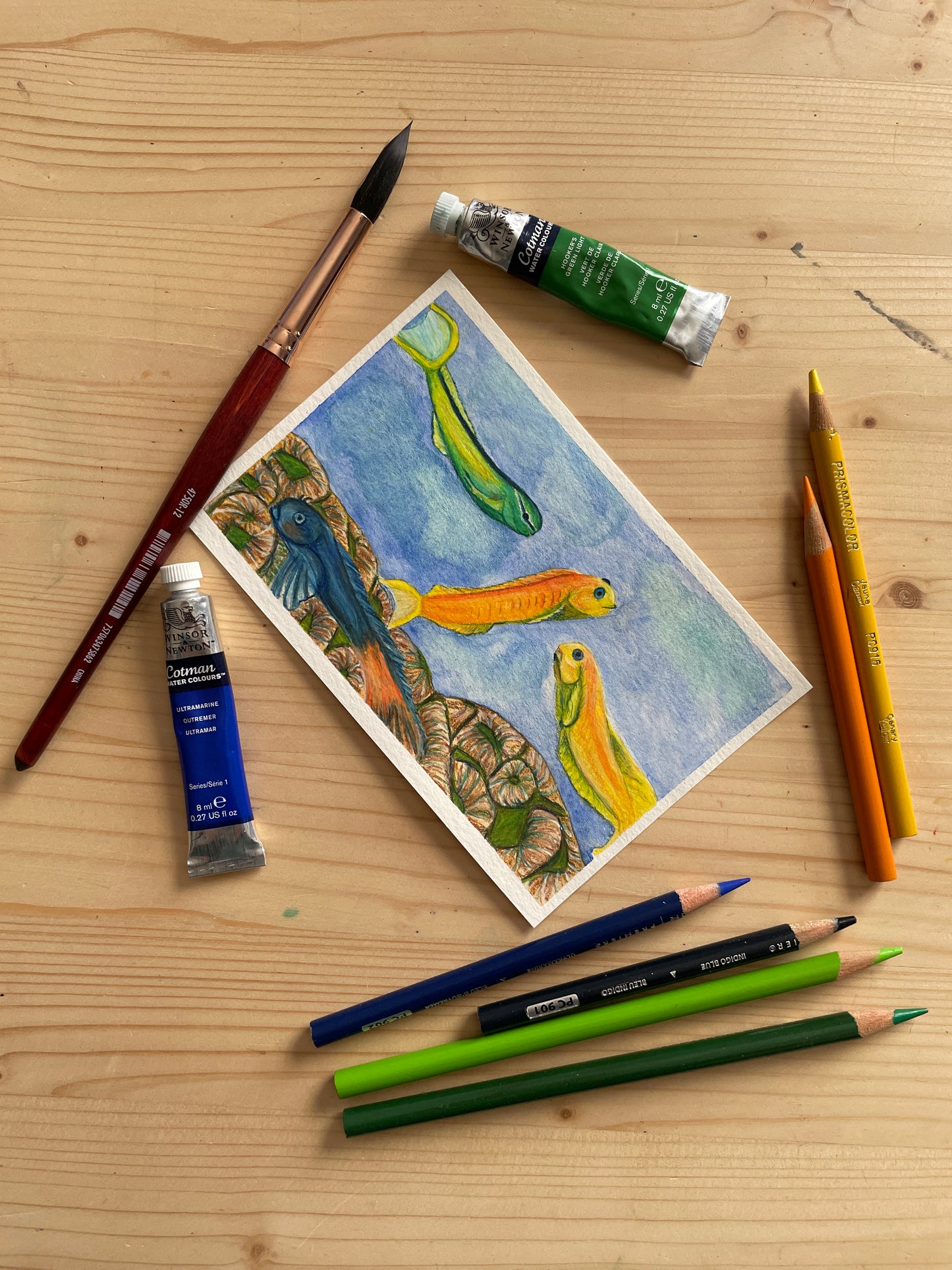 A Variety of Blenny Mini Art Original