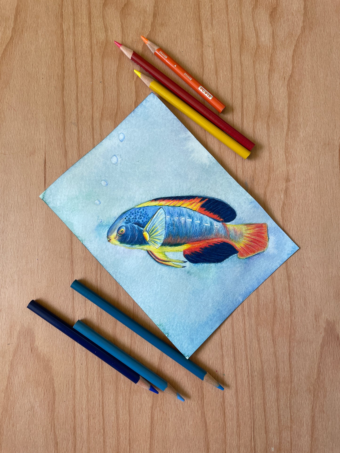 This Wrasse is on Fire Mini Art Original