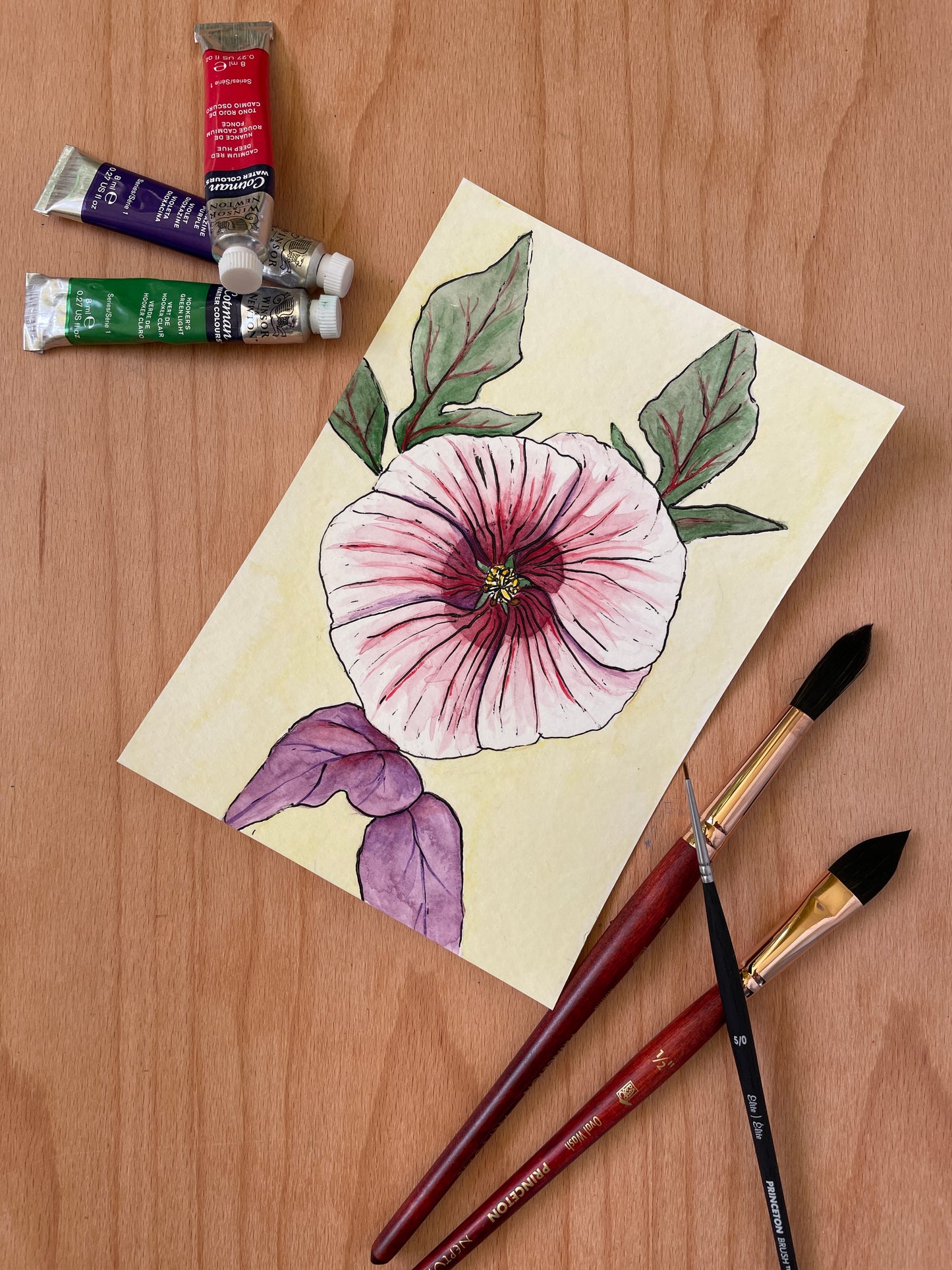 Pink and White Hibiscus Mini Art Originals