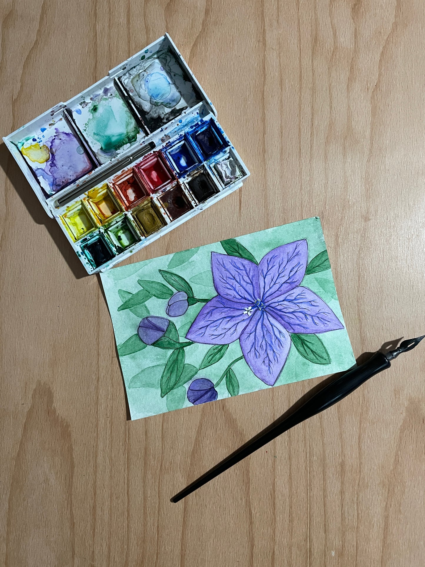 Purple Starflowers