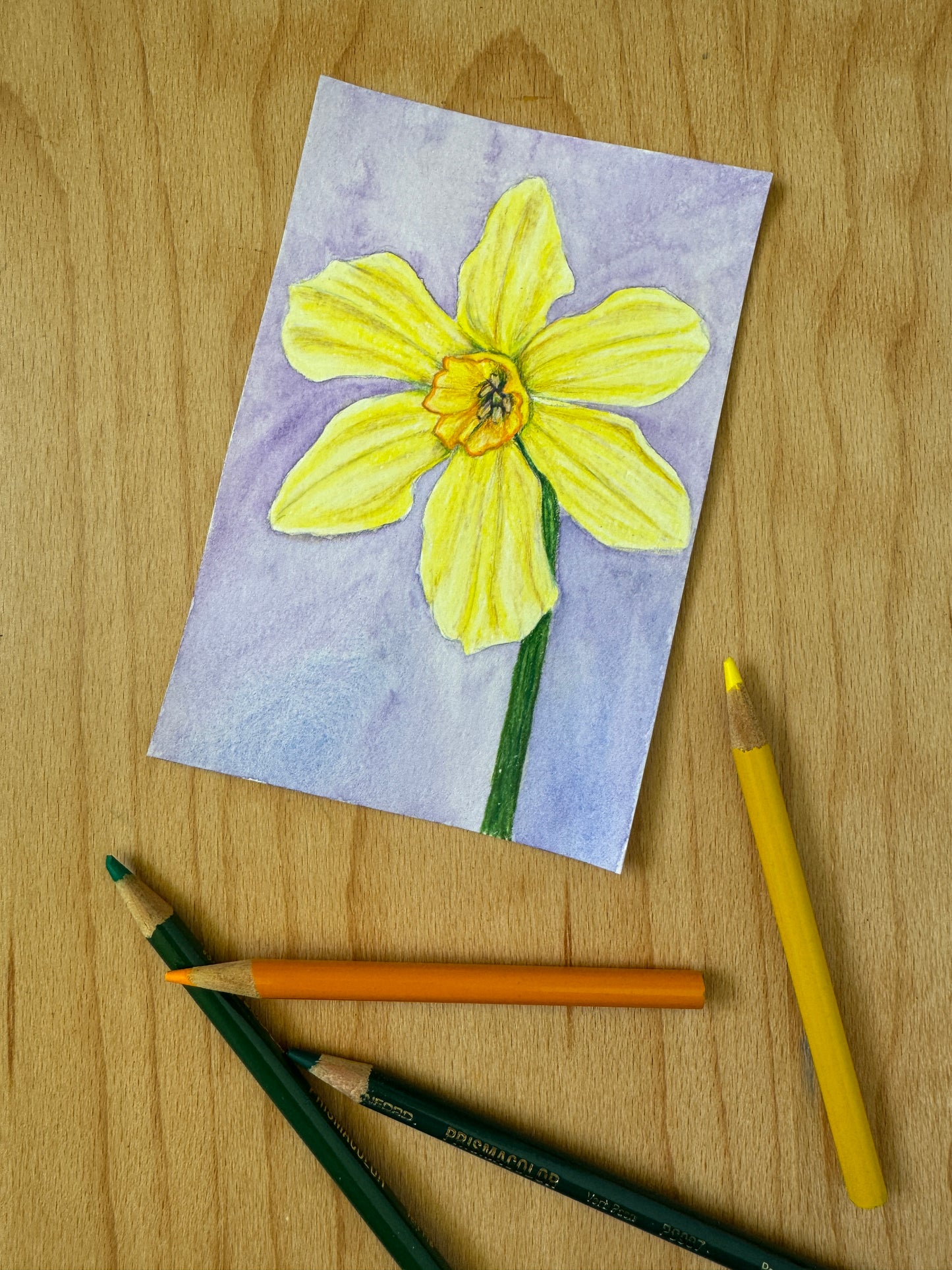 Light Yellow Daffodil Mini Artwork Original