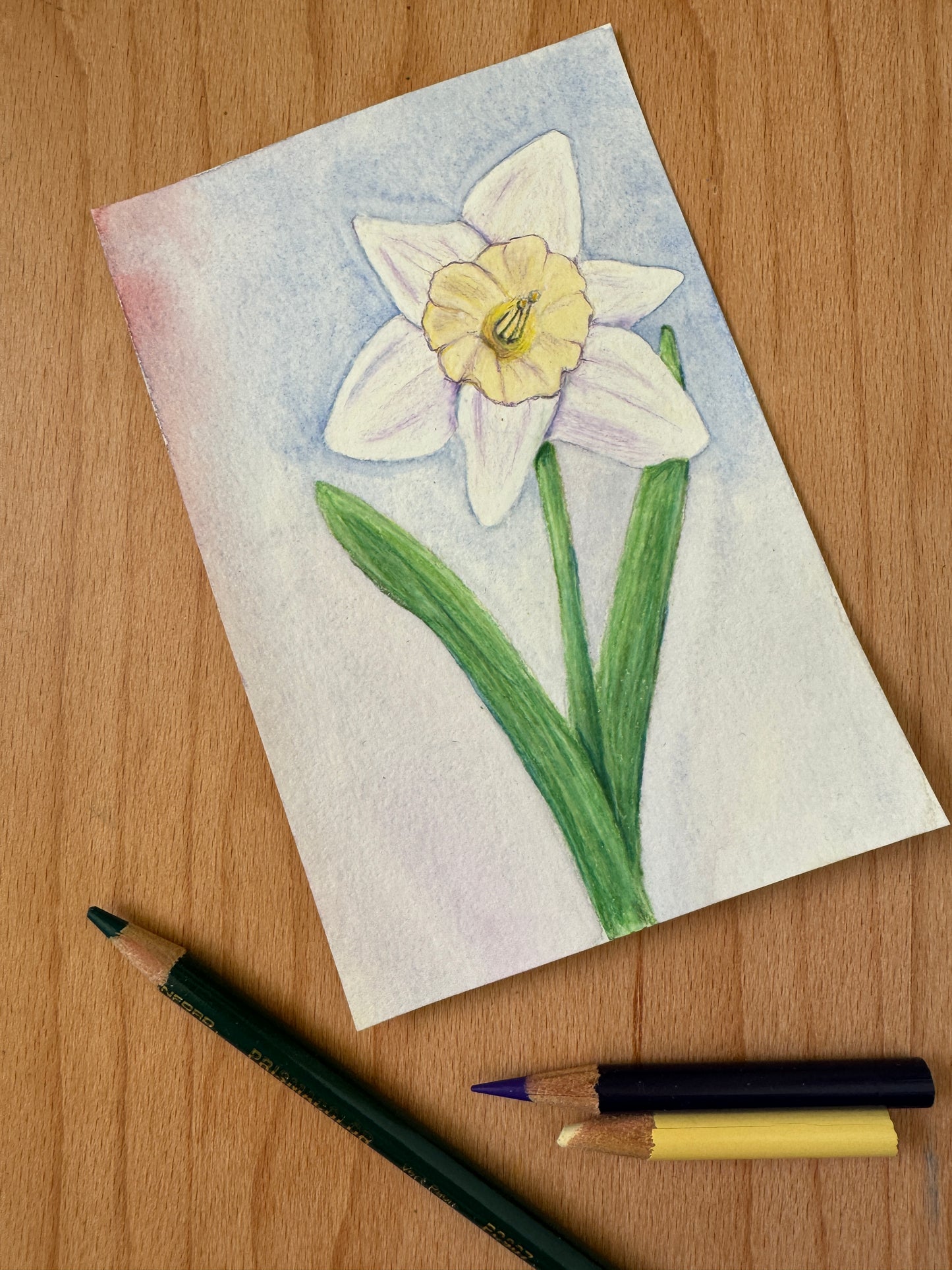 Pale Yellow Daffodil Mini Artwork Original