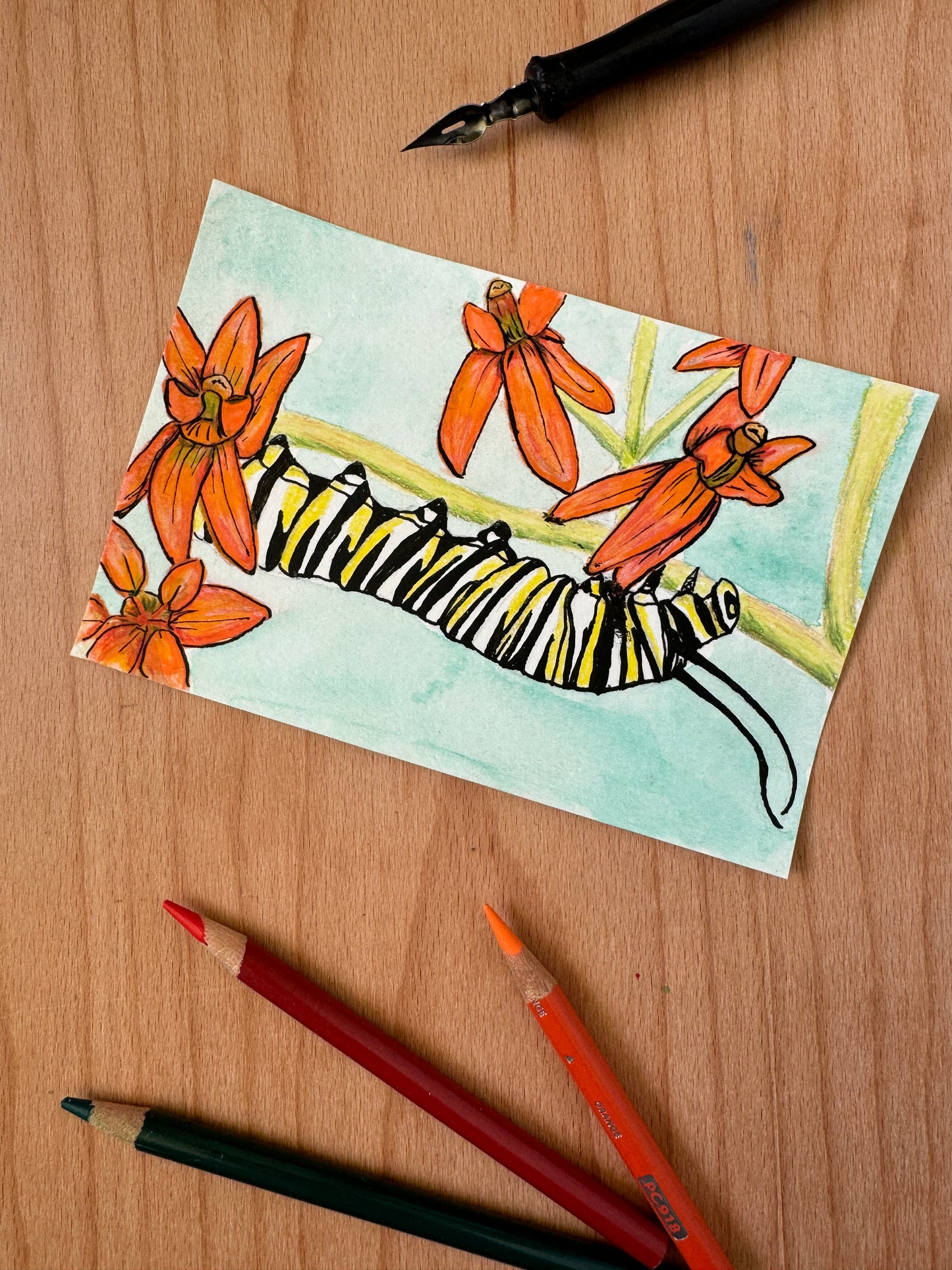 Just a Little Caterpillar