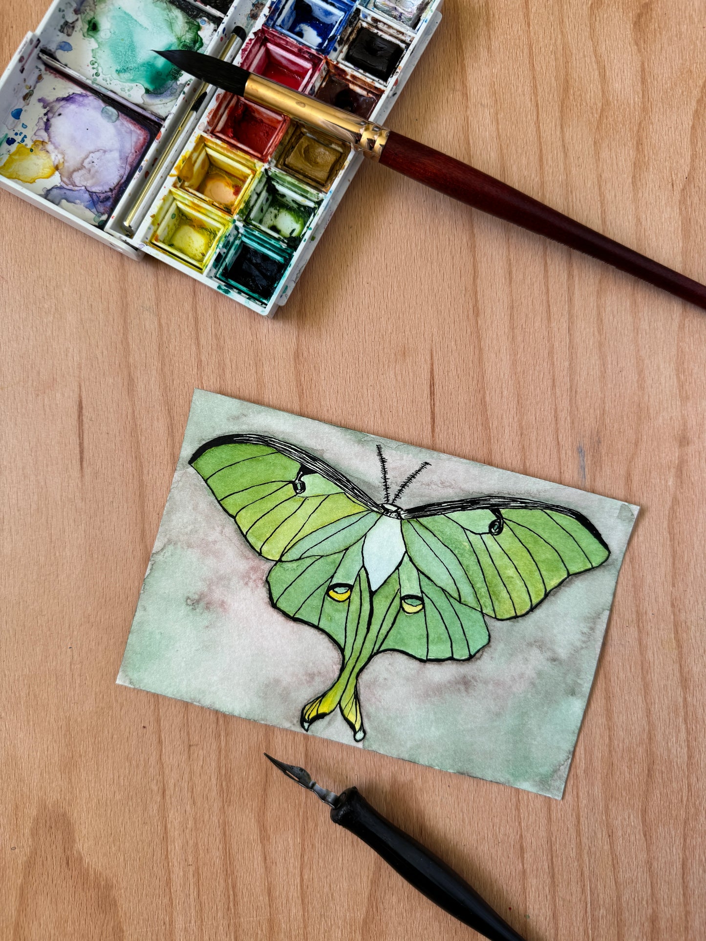 Luna Moth Mini Art Original