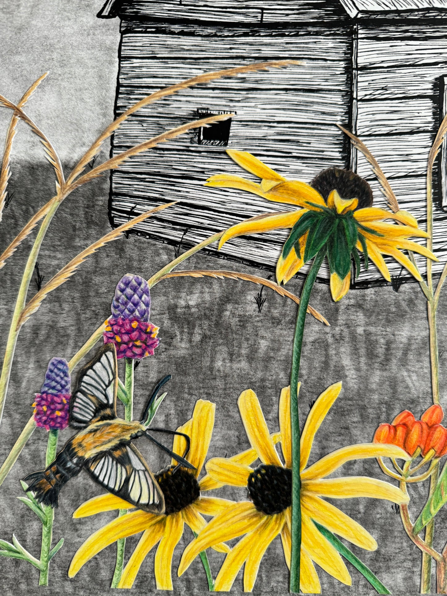 Desolation Without Pollination Original Artwork