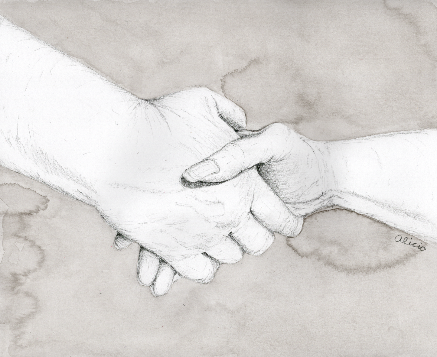 Hand Pencil Drawing Commission