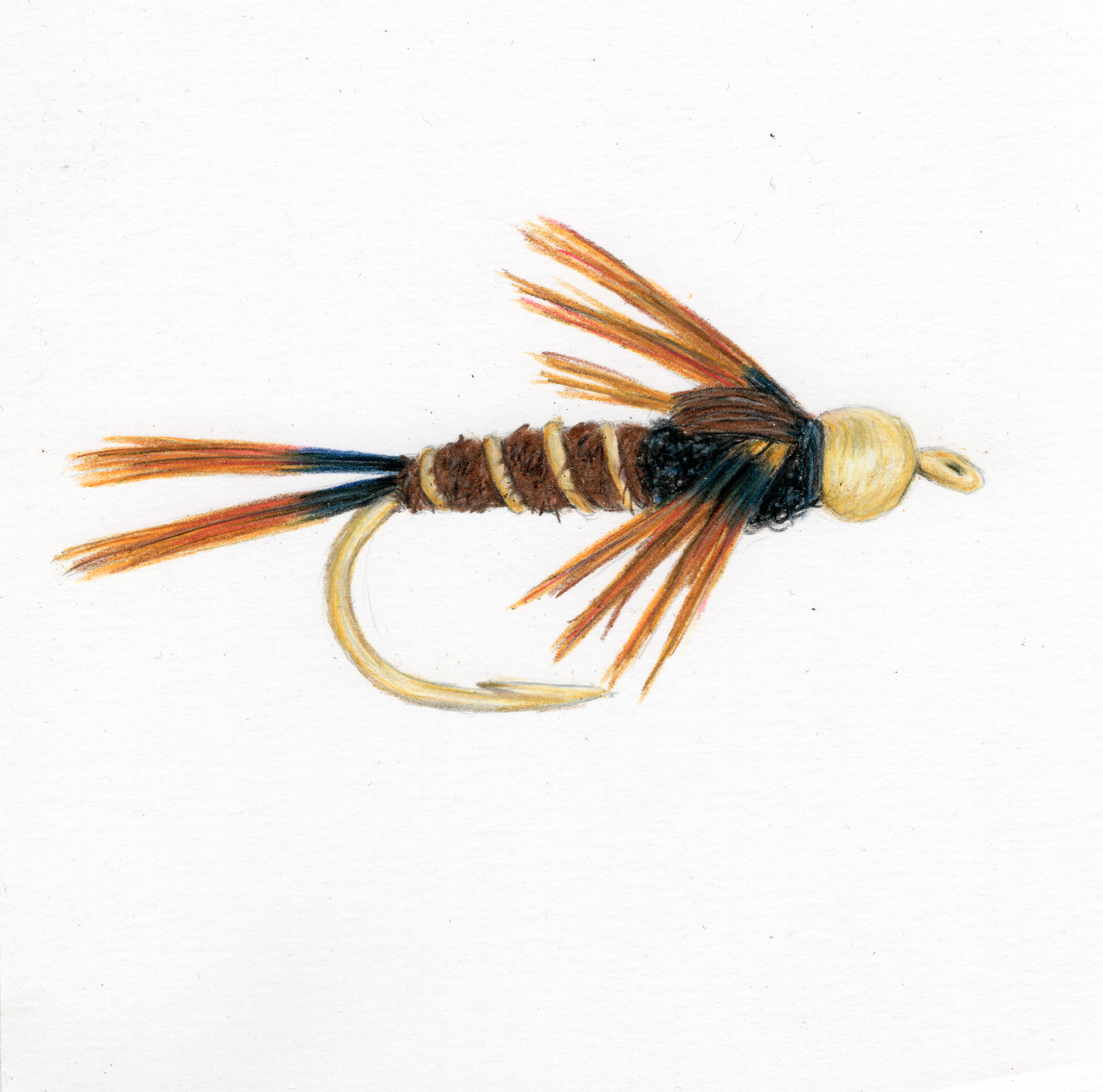Pheasant Fly Print