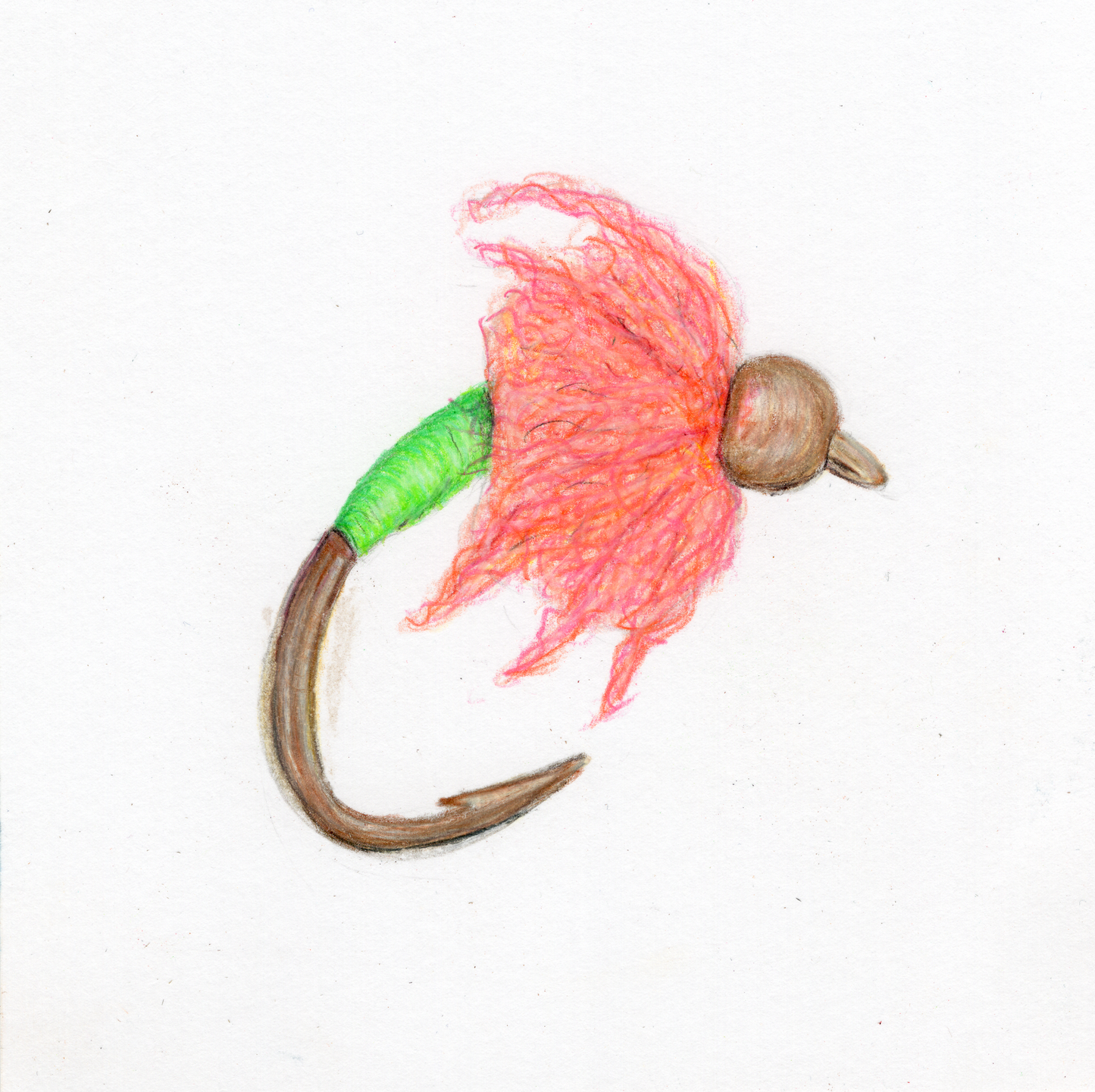 Pink Egg Fly Print