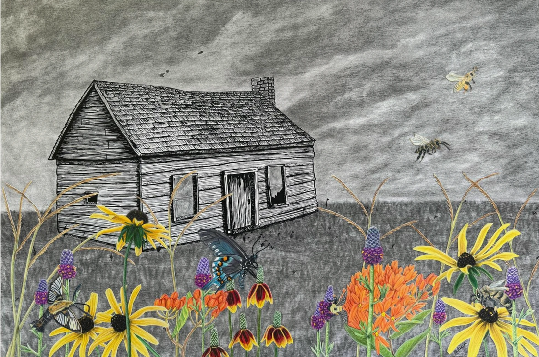Behind the Drawing: Desolation Without Pollination