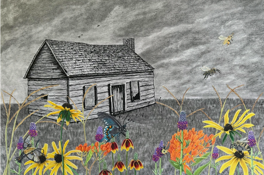 Behind the Drawing: Desolation Without Pollination
