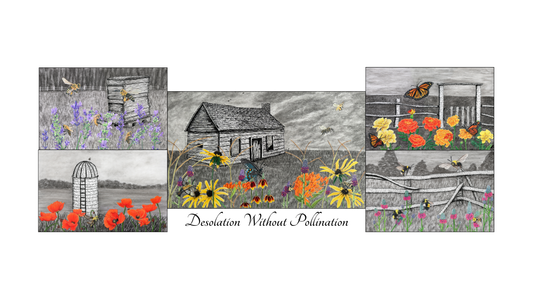 Behind the Drawing: Desolation Series