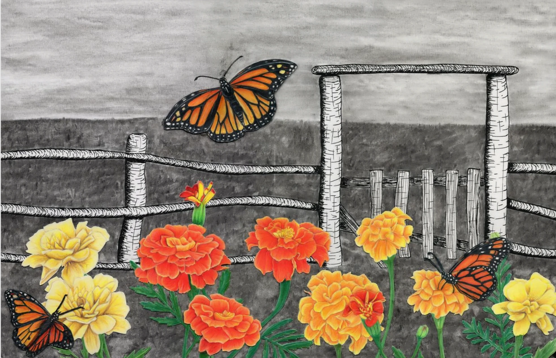 Behind the Drawing: Desolation Without Monarchs