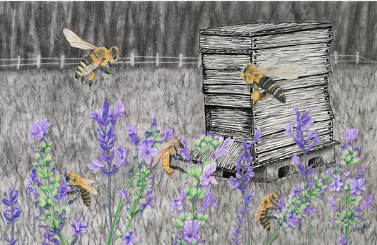 Behind the Drawing: Desolation Without Honeybees
