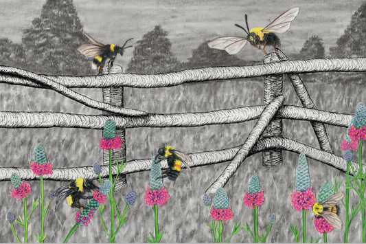 Behind the Drawing; Desolation Without Bumblebees