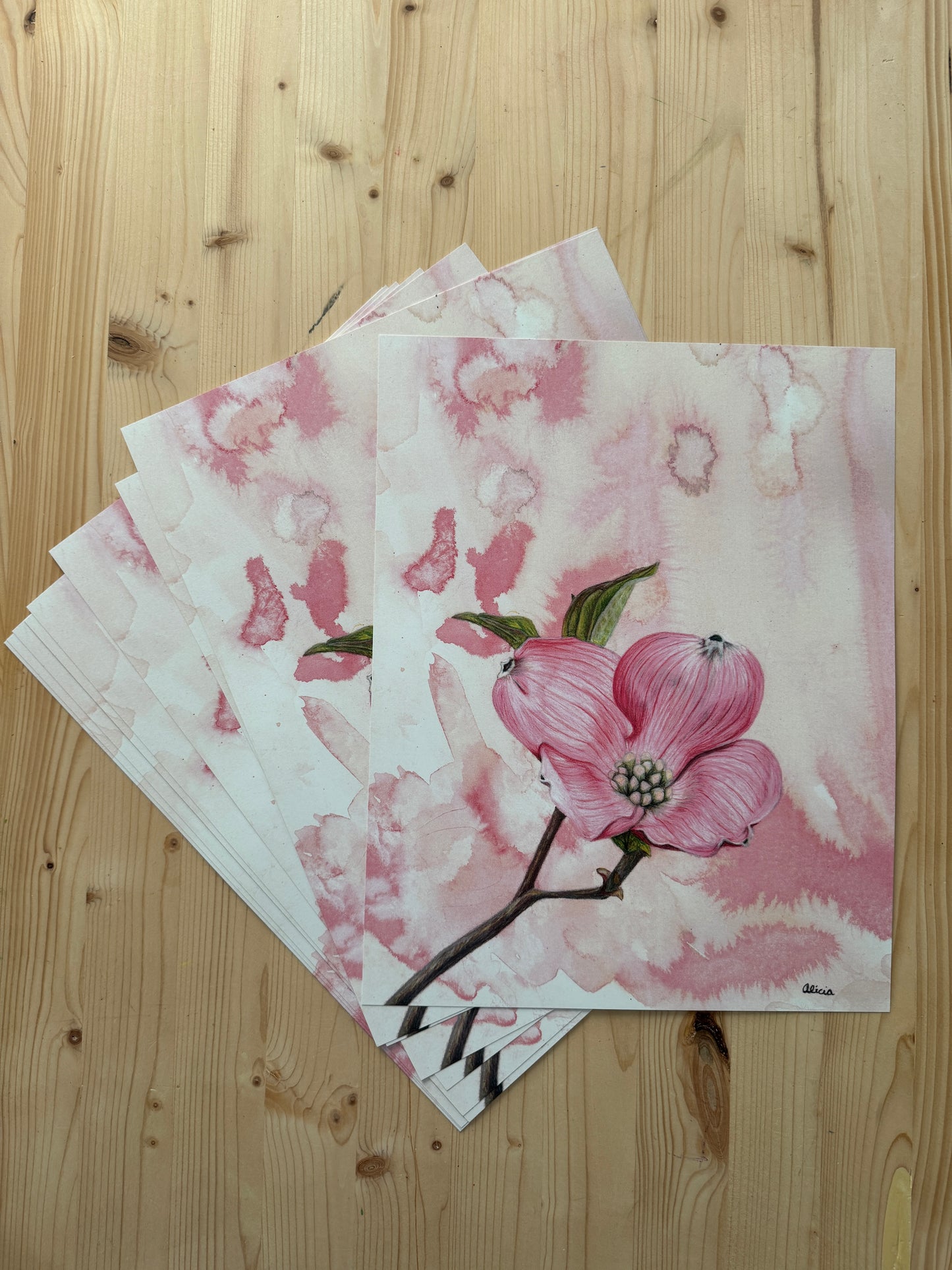 Pink Dogwood Blossom Signed Print