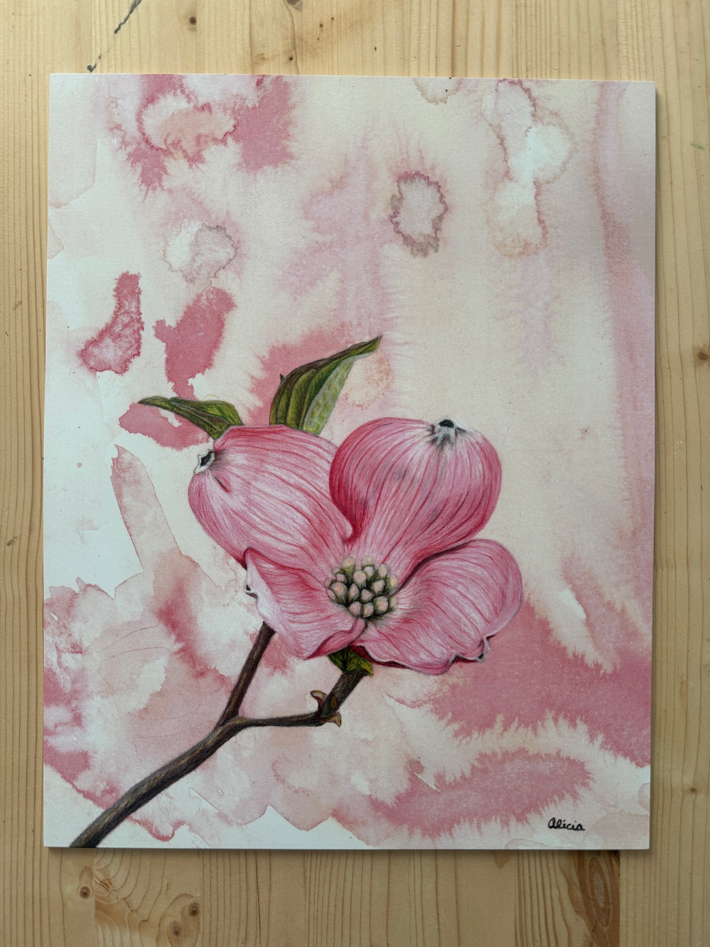 Pink Dogwood Blossom Signed Print