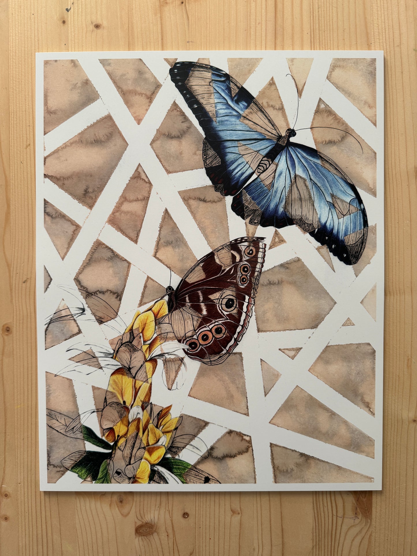 Blue Morpho Butterfly Signed Print