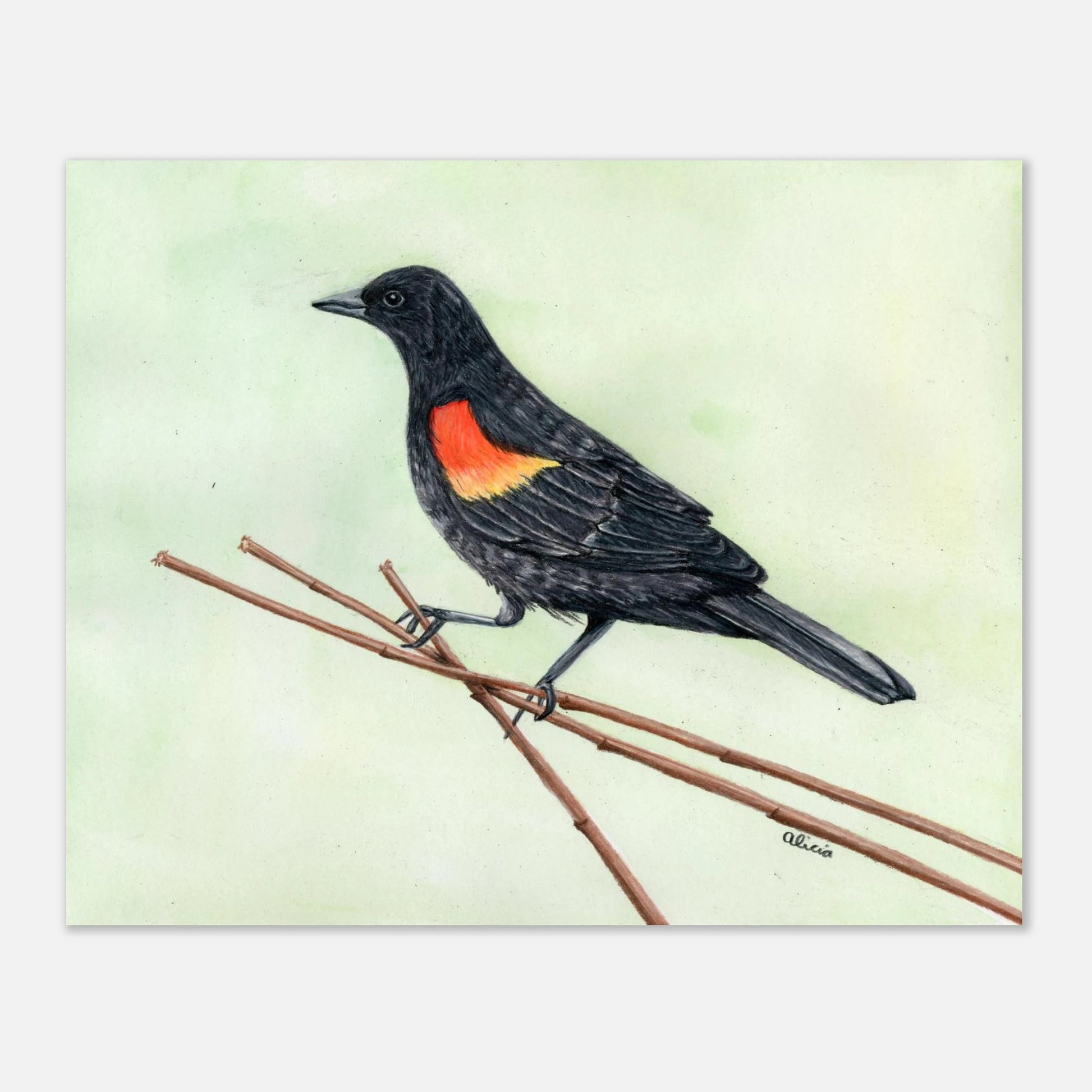 2a9d2317-78a7-4b16-8a5b-db6a2fd82a25