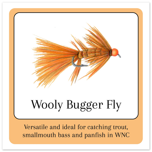 2ce1aedb-0d9d-4922-b8b2-7d4ccb28876d