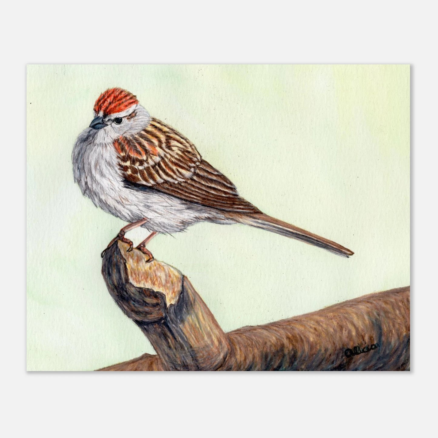 5e6203a6-659c-41d9-8cf8-8ac635f35c20