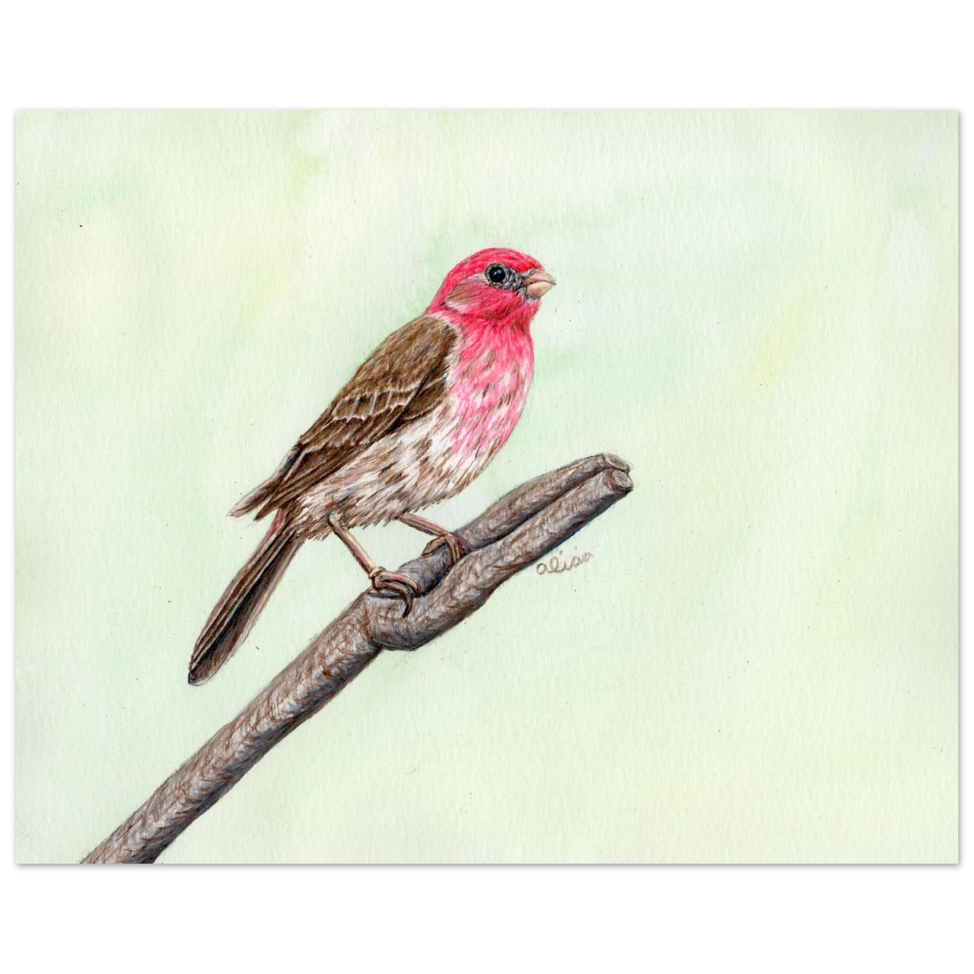 6e8bf34b-0b29-411b-8d12-1332871e0428