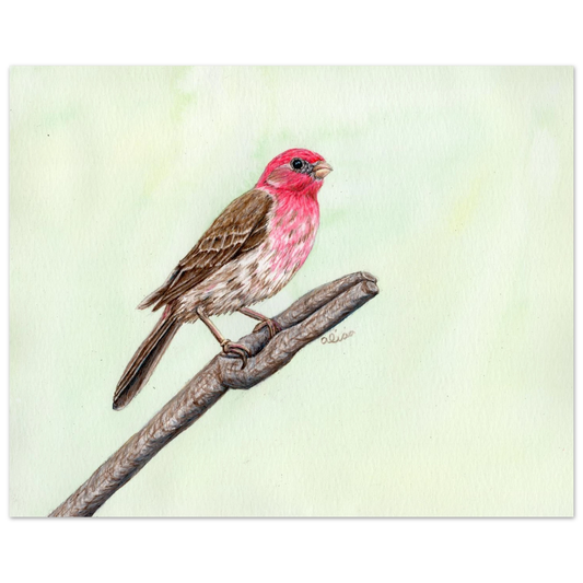 6e8bf34b-0b29-411b-8d12-1332871e0428