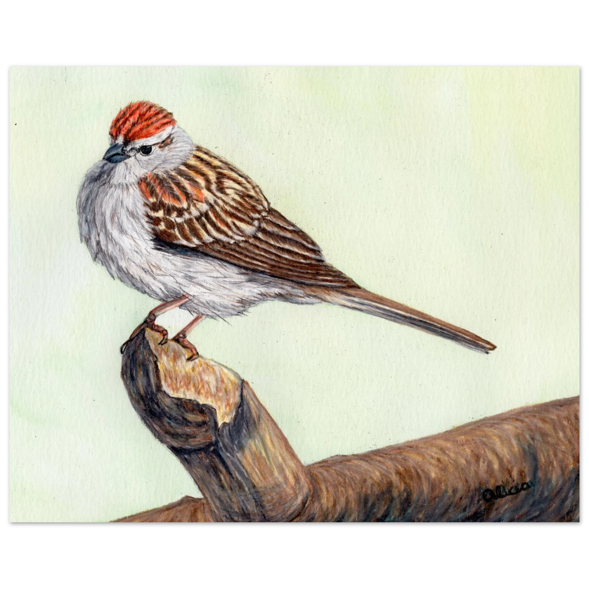 71763b68-f0af-44fd-a555-5f049825c67a