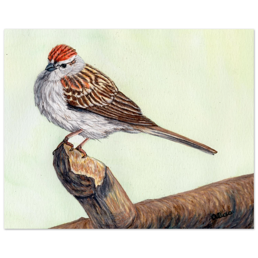 71763b68-f0af-44fd-a555-5f049825c67a