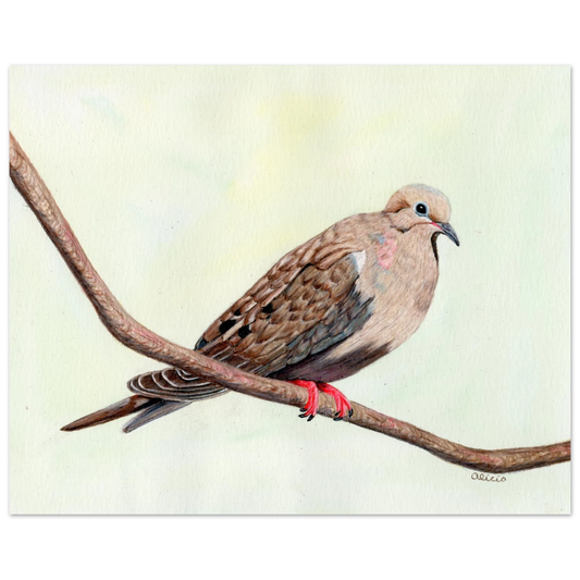 830f4f4e-c05e-4576-8dae-05ba49f1ac95