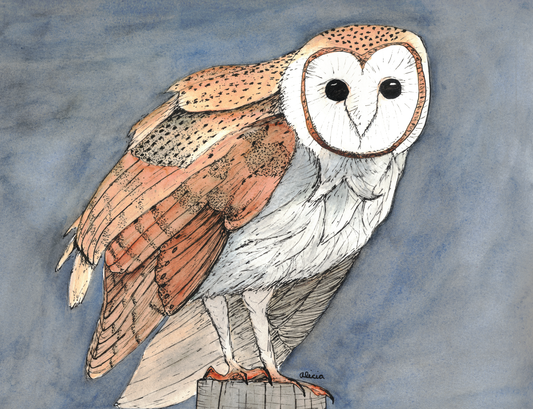 Barn Owl on Post Original