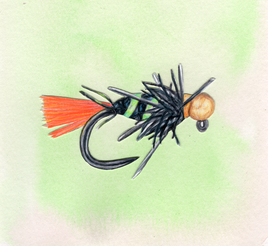 Blowtorch Fly Print With Color Background