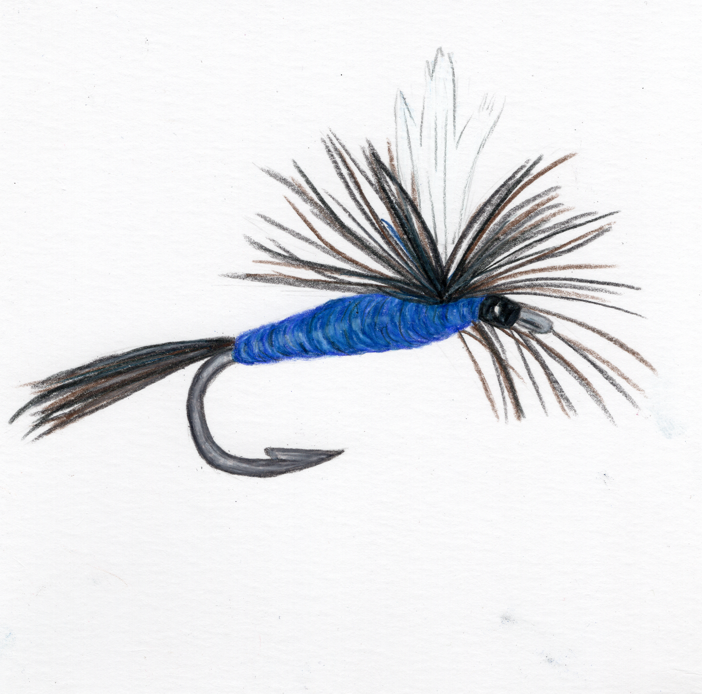 Blue Parachute Fly Print