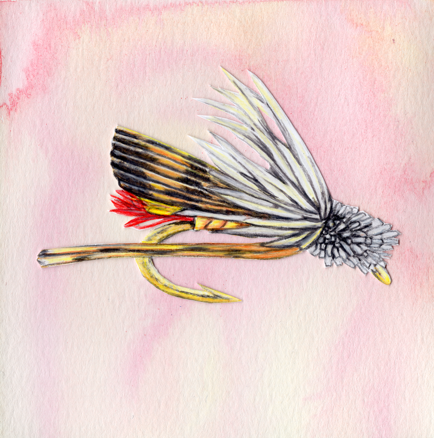Dave's Hopper Fly Print With Color Background