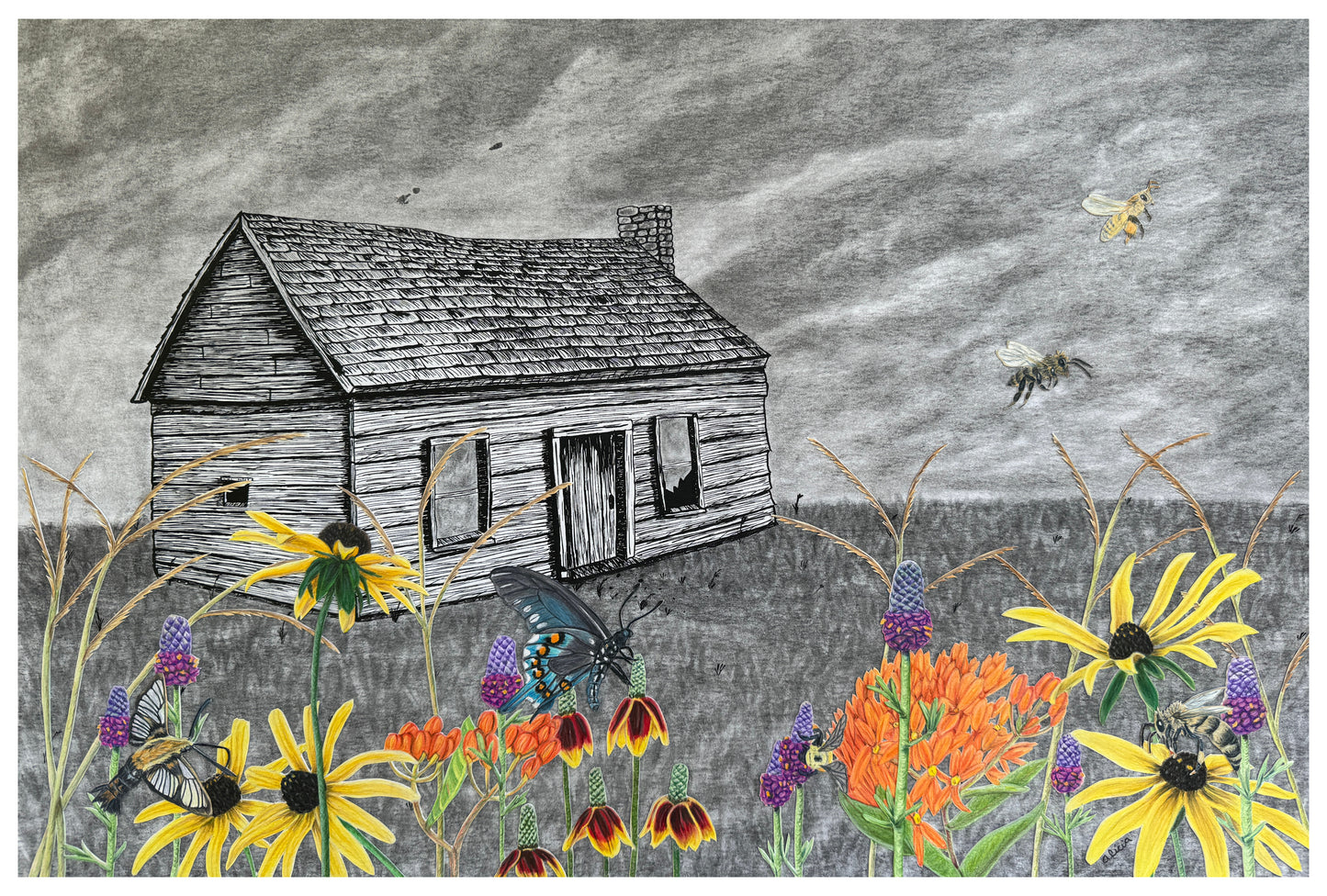 Desolation Without Pollination Original Artwork