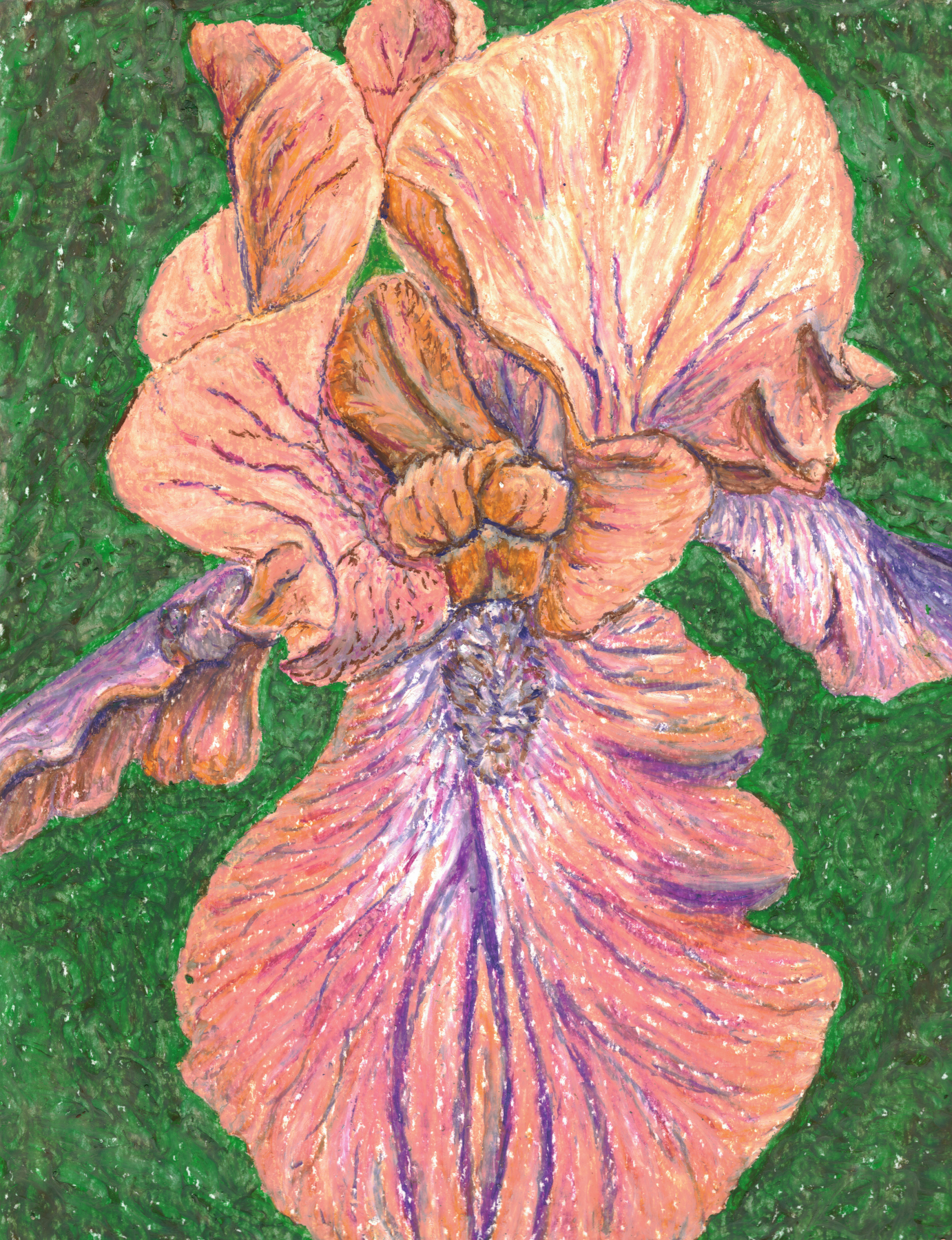 Wine and Purple Iris Original