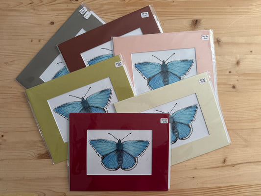 $5 Matted Blue Butterfly Prints