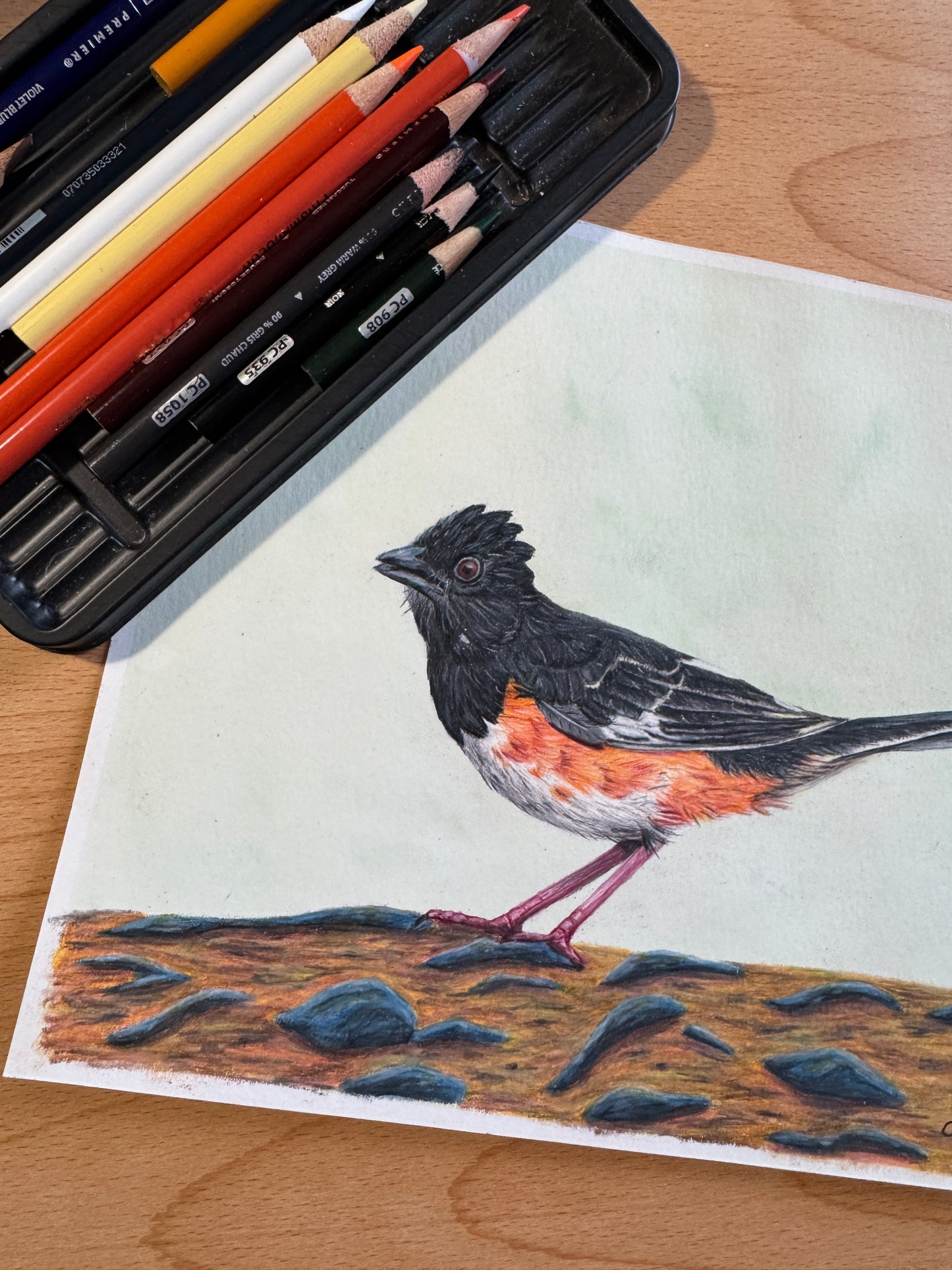 Song Bird Art Prints
