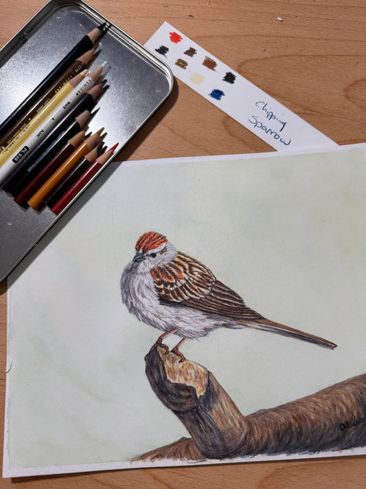 Song Bird Art Prints