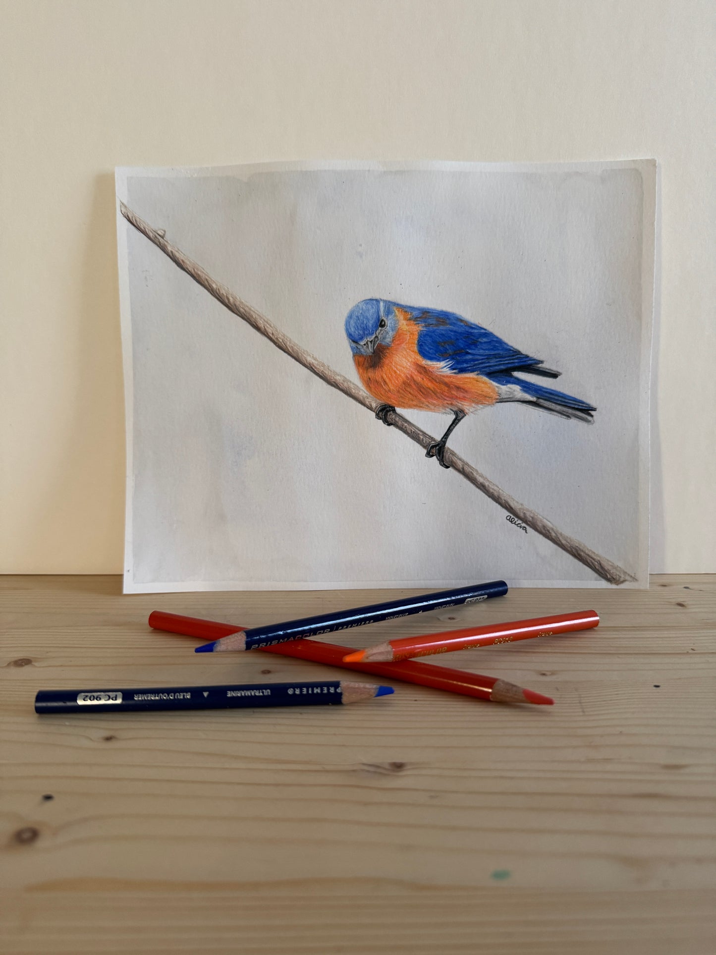 Song Bird Art Prints