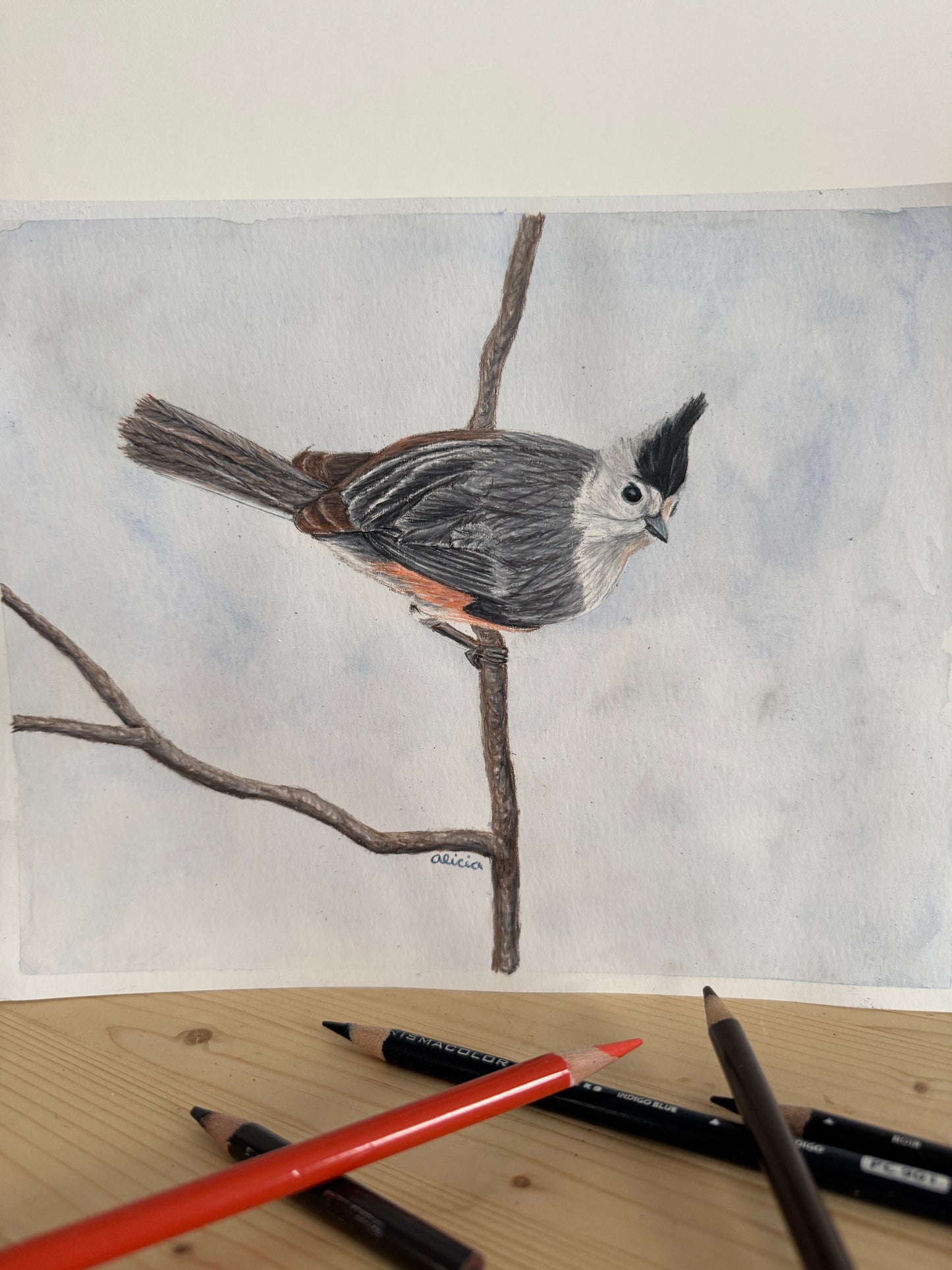 Song Bird Art Prints