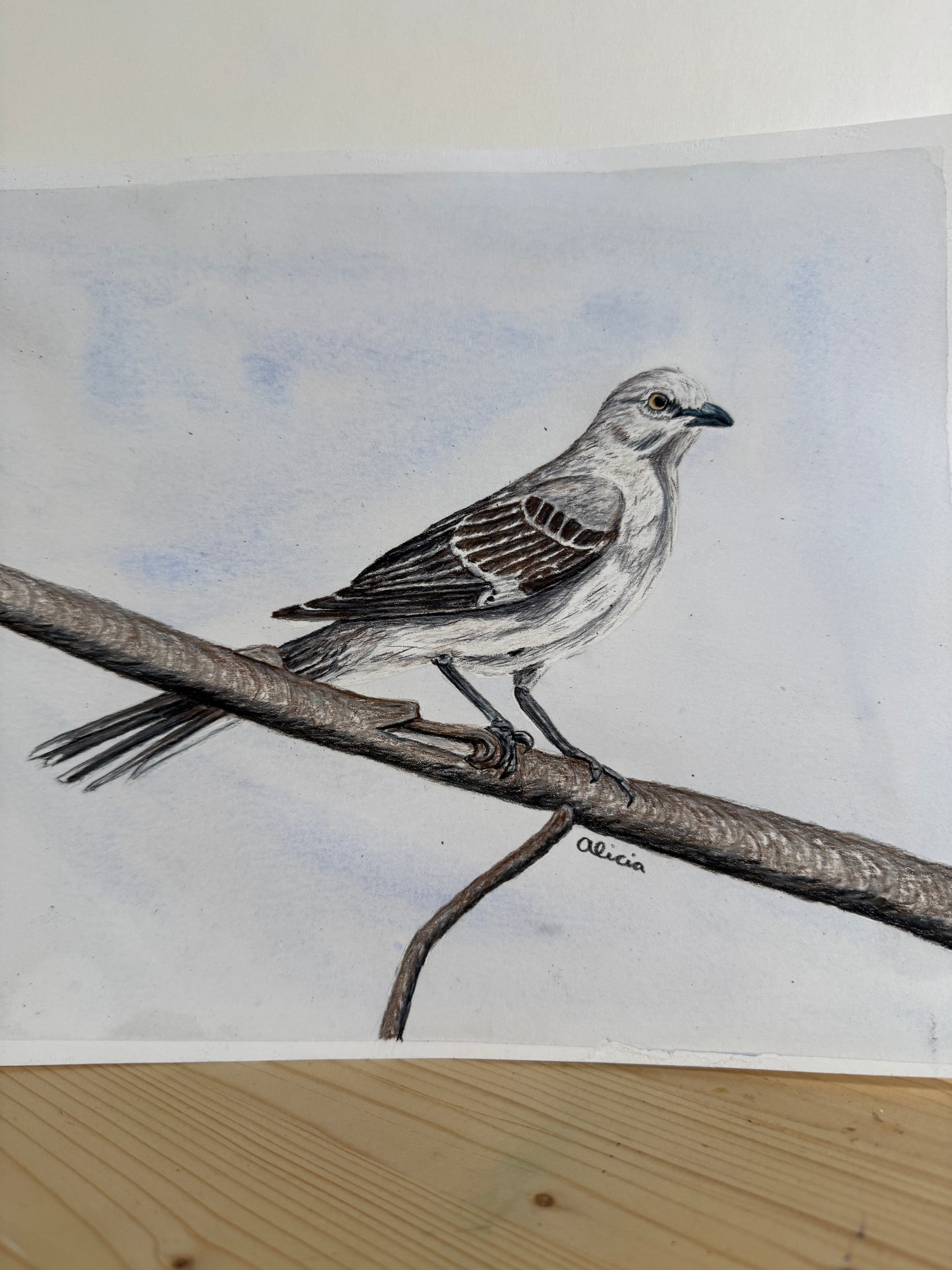 Song Bird Art Prints