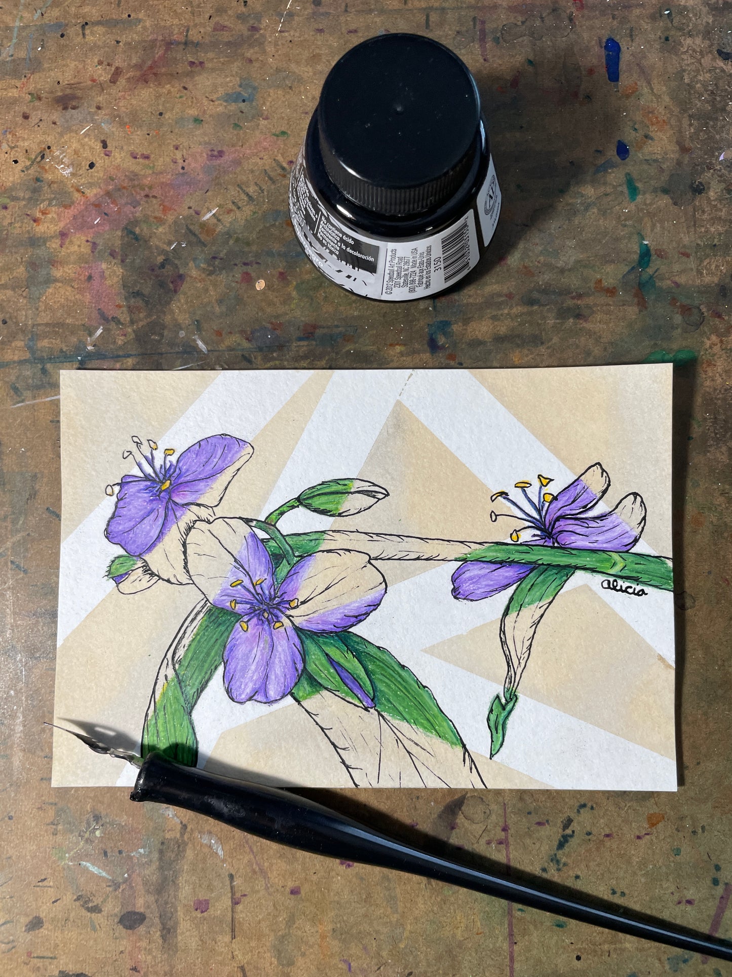 Mountain Side Spiderwort Original